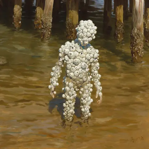 FOE · Barnacle-Shirt · z-image-base-bf16