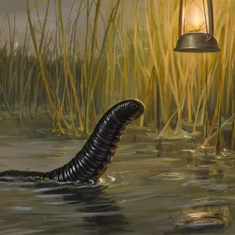 FOE · Lamp-Leech · z-image-base-bf16