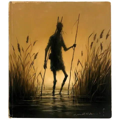 FOE · Stilt-Strider · kandinsky5-lite-bf16