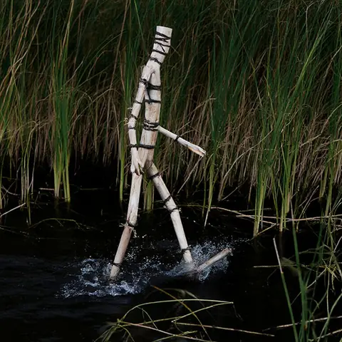 FOE · Stilt-Strider · kandinsky5-lite-bf16·bare