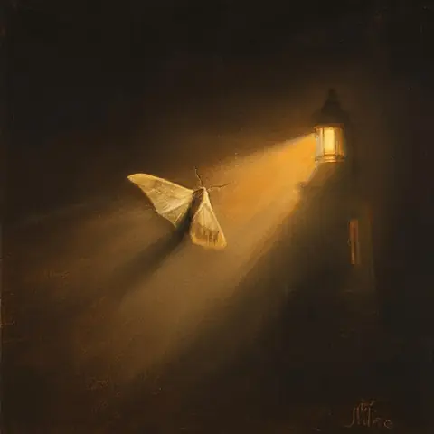 FOE · The Lamp-Moth · kandinsky5-lite-bf16