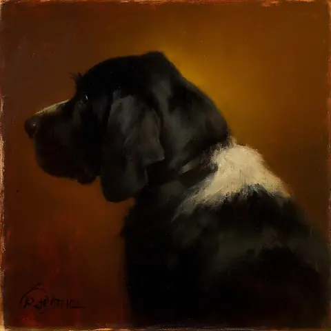 PET · the operators' dog · kandinsky5-lite-bf16