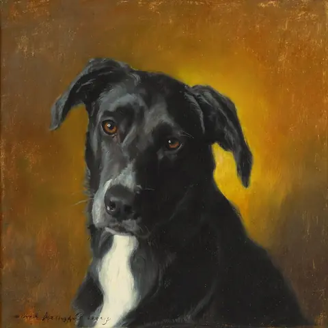 PET · the operators' dog · z-image-base-bf16