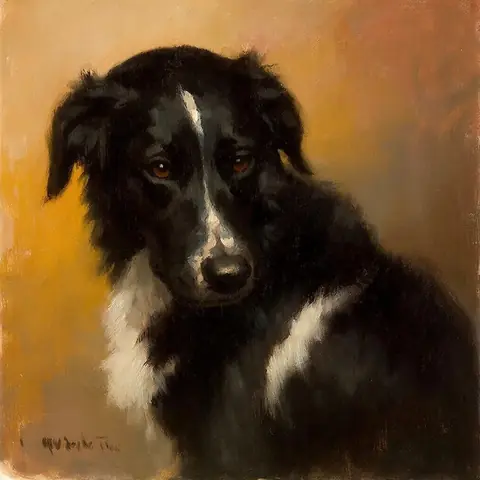 PET · the operators' dog · kandinsky5-lite-bf16
