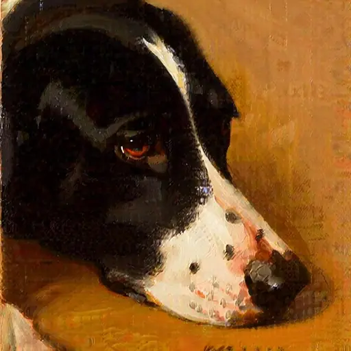 PET · the operators' dog · kandinsky5-lite-bf16