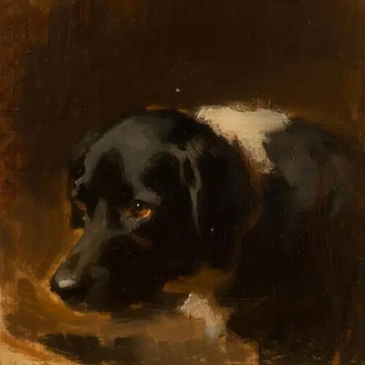 PET · the operators' dog · kandinsky5-lite-bf16
