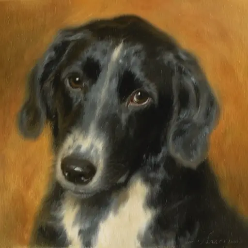 PET · the operators' dog · z-image-base-bf16