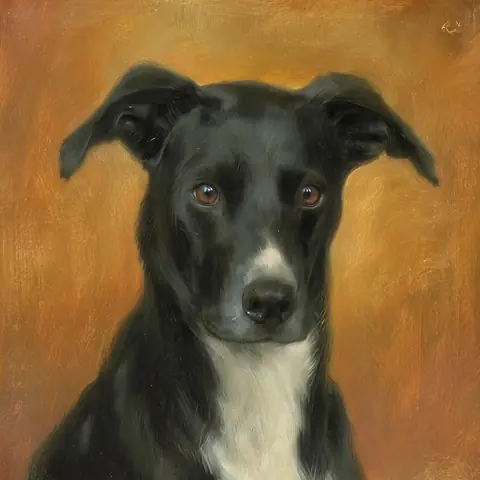 PET · the operators' dog · z-image-base-bf16