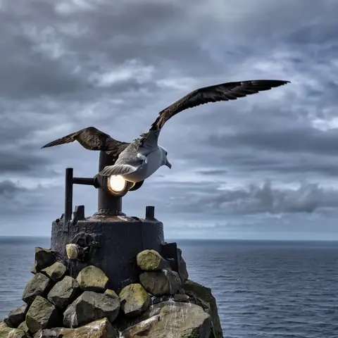 FOE · The Tithe-Bird · z-image-base-bf16·bare