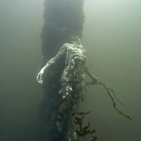 FOE · Tide-Wraith · z-image-base-bf16·bare