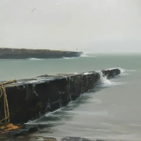 COASTAL · Cleave Headland — The Point · kandinsky5-lite-bf16