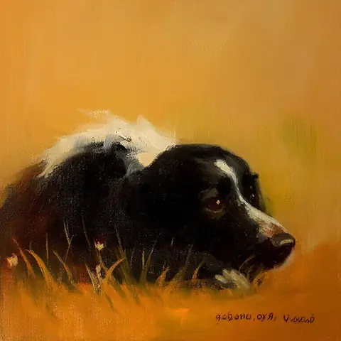 PET · the operators' dog · kandinsky5-lite-bf16