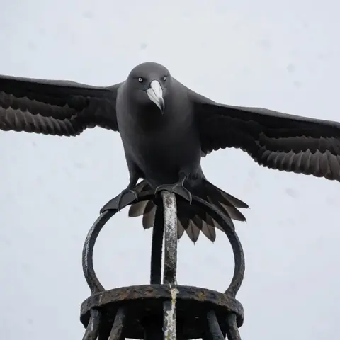 FOE · The Tithe-Bird · krea2-turbo-fp8·bare