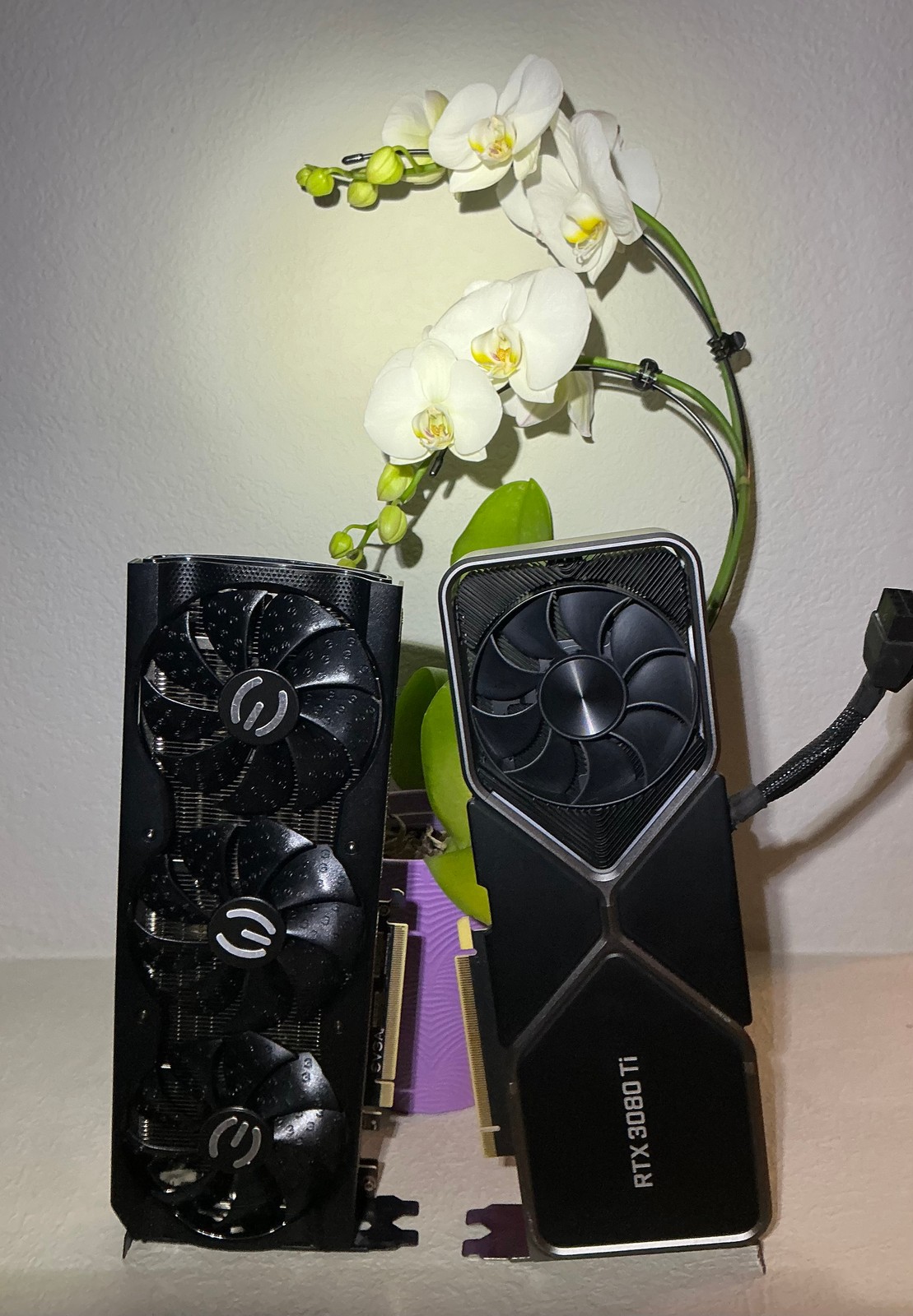 Two cards standing upright with their fan sides to the camera: an EVGA card with three black fans, and a Founders Edition card reading RTX 3080 Ti with its silver X-shaped frame and a braided power cable, the white moth orchid's flowers rising behind them.