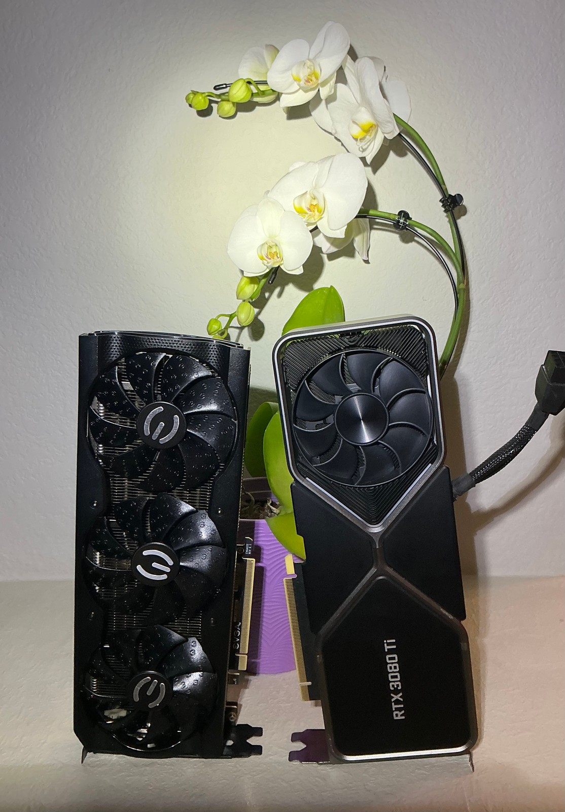 The same two cards again, fan sides to the camera: an EVGA card with three black fans, and a Founders Edition card reading RTX 3080 Ti with a braided power cable, the white moth orchid's flowers rising behind them.